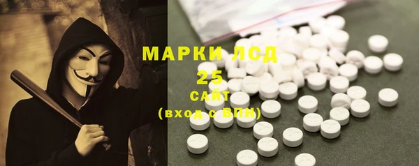 шишки Алзамай