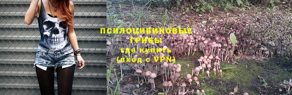 ALPHA PVP Алексеевка