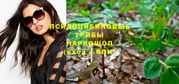 шишки Алзамай