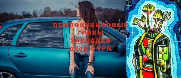 стафф Алексин