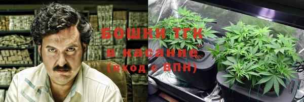 шишки Алзамай