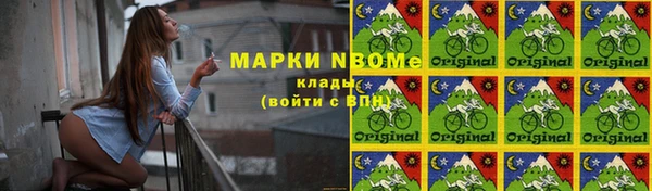 шишки Алзамай