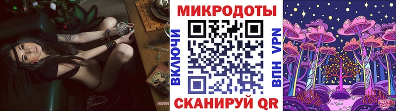 продажа наркотиков  Новозыбков  Галлюциногенные грибы Psilocybe 
