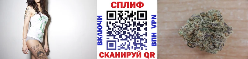 блэк спрут сайт купить наркоту мориарти формула Канабис ГИДРОПОН Новозыбков